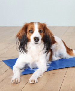 Cama para cães e gatos Trixie Manta Refrescante - Cães - Refrescantes / Aquecimento