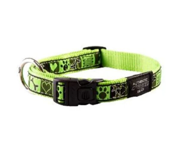 Coleira para cães Rogz Coleira Classic Collar Lime - Cães - Produtos & Acessórios