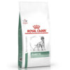 Ração para cães Royal Canin X-Small Puppy - Alimentação - Ração Seca para Cães