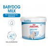 Ração para cães Royal Canin Medium Digestive Care - Adulto - Ração Seca para Cães