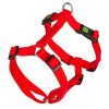 Peiroral para cães Julius-K9 IDC Color & Grey Harness - Cães - Produtos & Acessórios