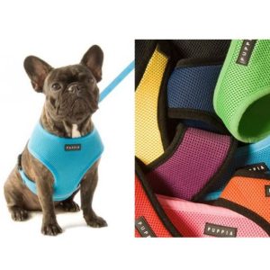 Peitoral para cães Puppia Soft - Acessories - Harnesses