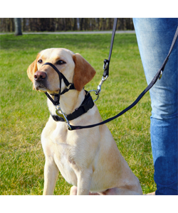 Peitoral para cães Trixie Top Trainer Training Harness - Cães - Produtos & Acessórios