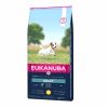 Ração para cães Eukanuba Daily Care Sensitive Joints Chicken - Adulto - Ração Seca para Cães