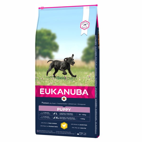 Ração para cães Eukanuba Puppy Large Breed Chicken - Alimentação - Ração Seca para Cães