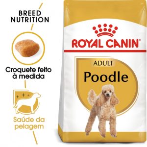 Ração para cães Royal Canin Breed Nutrition Caniche Adult - Alimentação - Raças