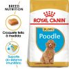 Ração para cães Royal Canin Breed Nutrition Yorkshire Terrier Adult - Alimentação - Raças