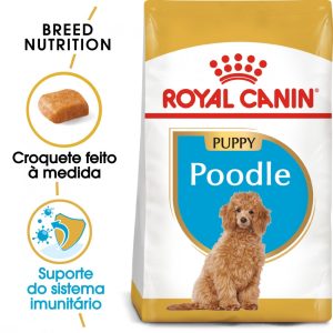 Ração para cães Royal Canin Breed Nutrition Caniche Puppy - Alimentação - Raças