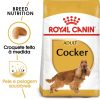 Ração para cães Dican Up SMALL BREEDS 3 kg - Adult - Food