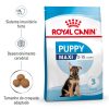 Ração para cães Royal Canin Maxi Adult 5+ - Alimentação - Sénior