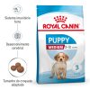 Ração para cães Royal Canin Mini Dental Care 3 kg - Adult - Food