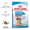 Ração para cães Royal Canin Mini Sterilised - Alimentação - Ração Seca para Cães