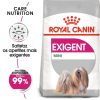 Ração para cães Royal Canin Mini Ageing +12 - Alimentação - Sénior