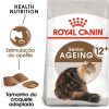 Comida húmida para gatos Royal Canin kitten in Jelly - Wet (Saqueta) - 12 x 85 g - Baby / Junior / Kitten - Wet Food for Cats