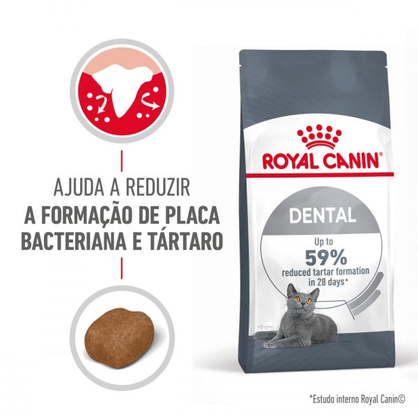 Ração para gatos Royal Canin Oral Care Feline - Adulto - Ração Seca para Gatos