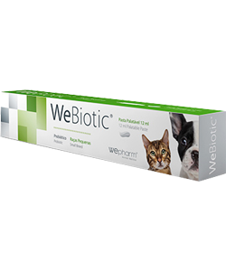 WeBiotic FAST 15 ml (raças pequenas e gatos) - Cães - Saúde Digestiva