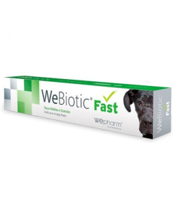 WeBiotic FAST 30 ml (raças médias e grandes) - Cães - Saúde Digestiva