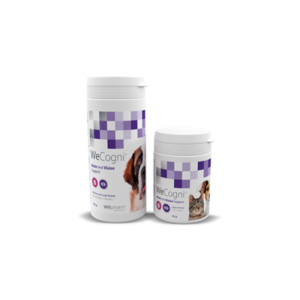 WeCogni - Behavioral and cognitive - Health Care & Wellness