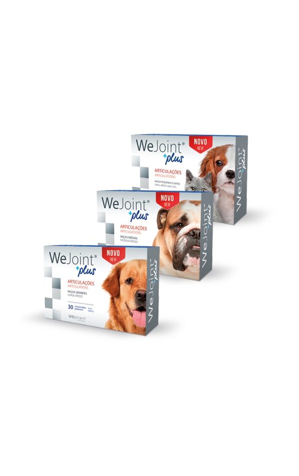 WeJoint Plus - 1 caixa de 30 comprimidos - Cães - Saúde