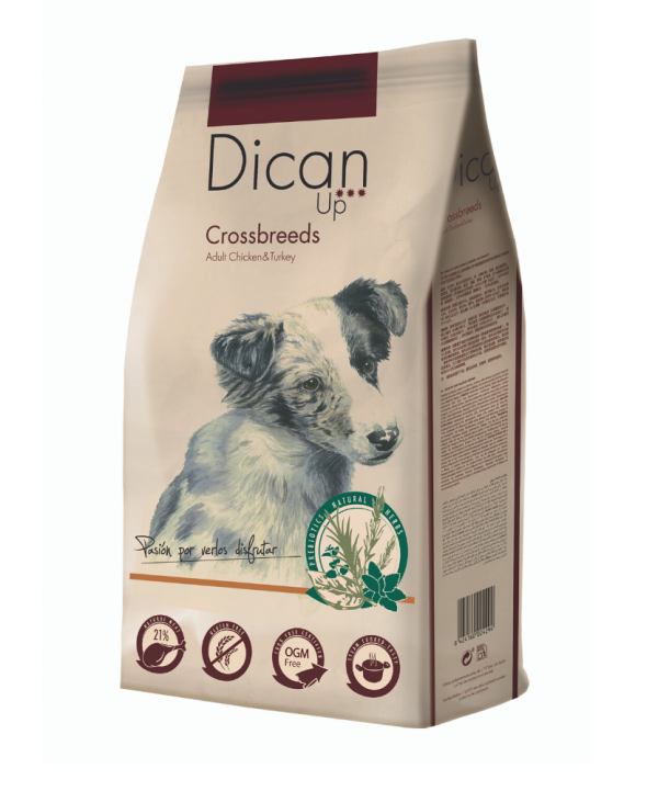 Ração para cães Dican Up CROSSBREEDS - Adult - Food