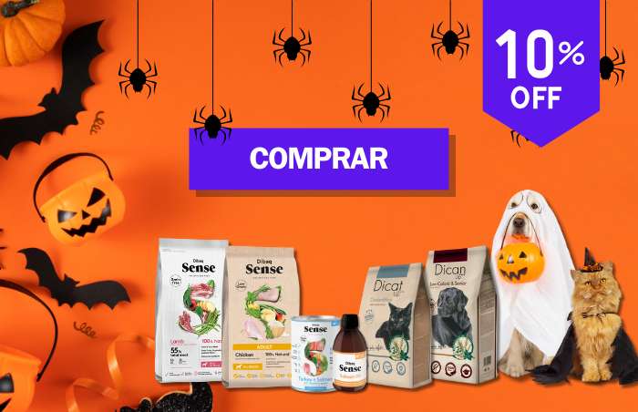 dican up, dicat up e dibaq sense em promoção